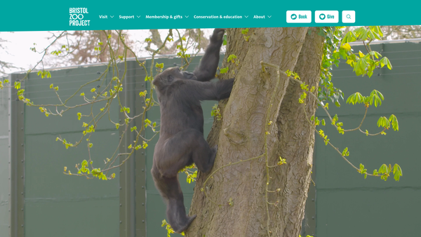 Screenshot of the The Bristol Clifton And West Of England Zoological Society Limited website