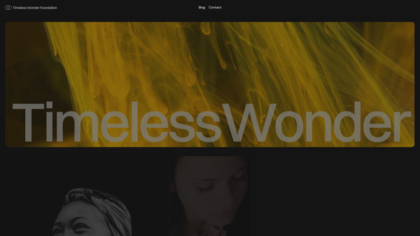Screenshot of the Timeless Wonder Foundation website