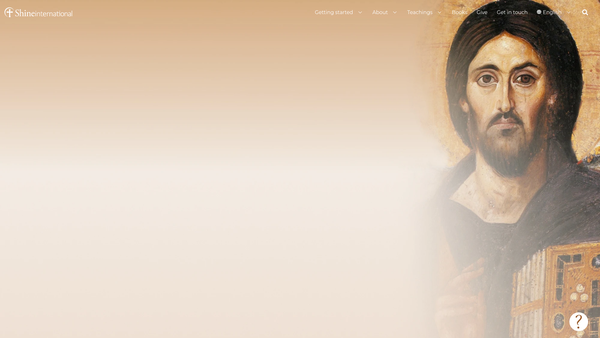Screenshot of the Shine International UK website