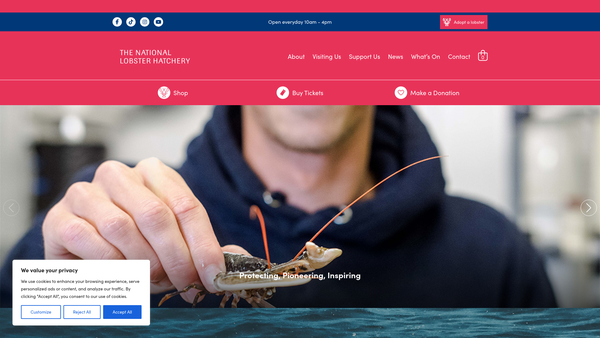 Screenshot of the The National Lobster Hatchery website