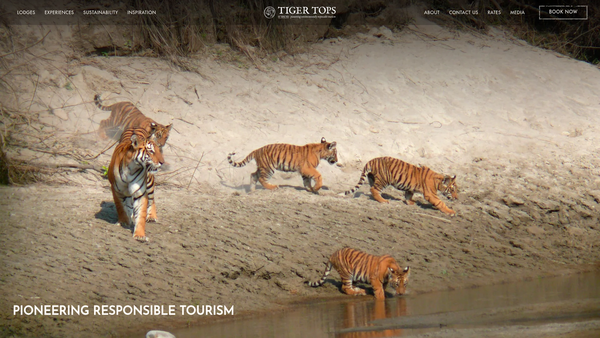 Screenshot of the Tiger Mountain Tharu Fund website