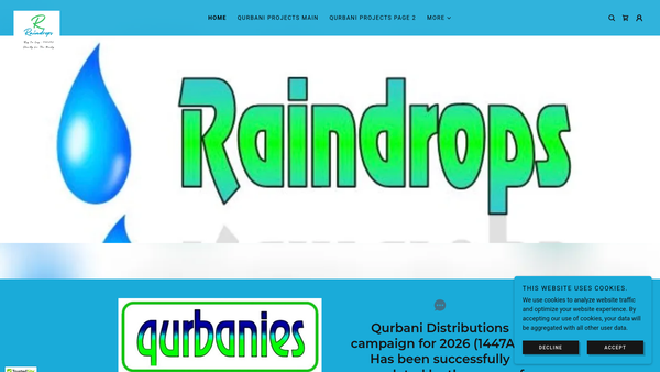 Screenshot of the Raindrops website