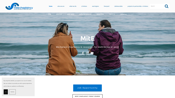 Screenshot of the Mission In The Economy website