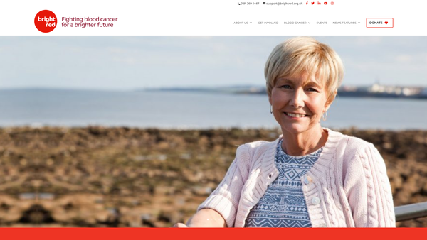Screenshot of the Bright Red website