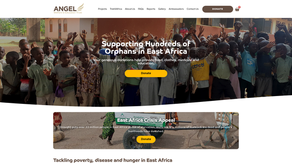 Screenshot of the Angel Welfare And Education Trust website