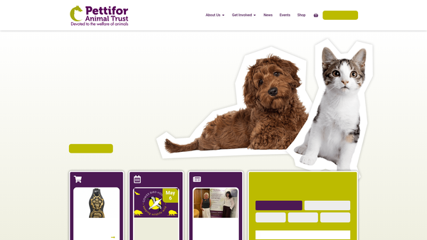 Screenshot of the The Pettifor Trust Corporation website