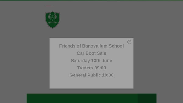 Screenshot of the Friends Of Banovallum School website
