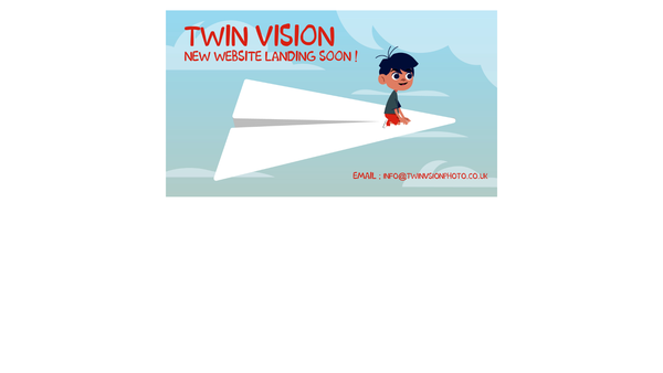 Screenshot of the Twin Vision website