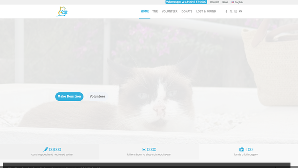 Screenshot of the Care 4 Cats website
