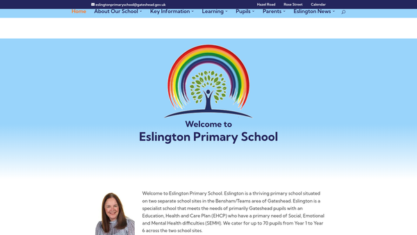 Screenshot of the Eslington School Fund website