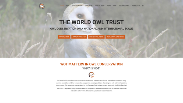 Screenshot of the World Owl Trust website