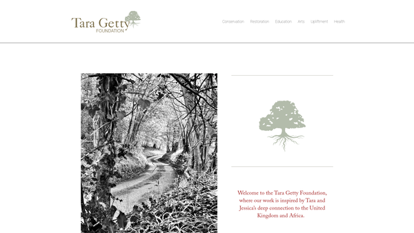 Screenshot of the Tara Getty Foundation website