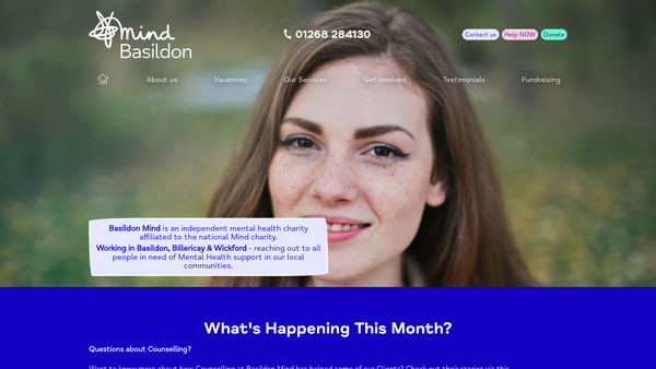 Screenshot of the Basildon Mind website