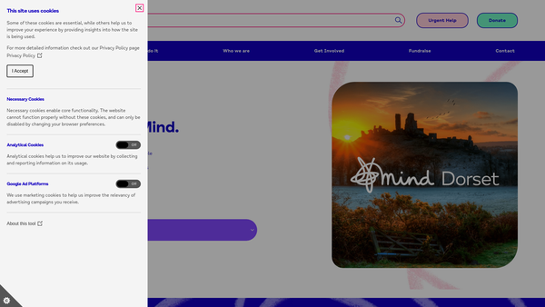 Screenshot of the Dorset Mind website