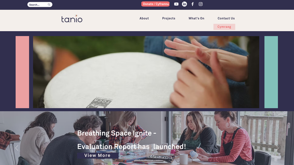 Screenshot of the Tanio Ltd. website