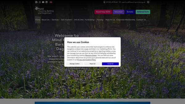 Screenshot of the Havering Mind website