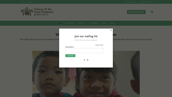 Screenshot of the Children Of The Forest website