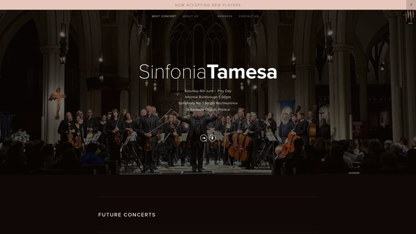 Screenshot of the Sinfonia Tamesa website