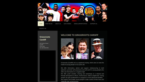 Screenshot of the Grassroots (Cardiff) Limited website
