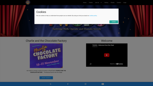 Screenshot of the Twods Limited website