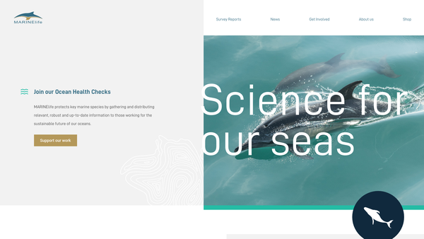 Screenshot of the Marinelife website