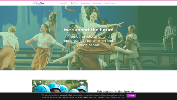 Screenshot of the The Buffini Chao Foundation website