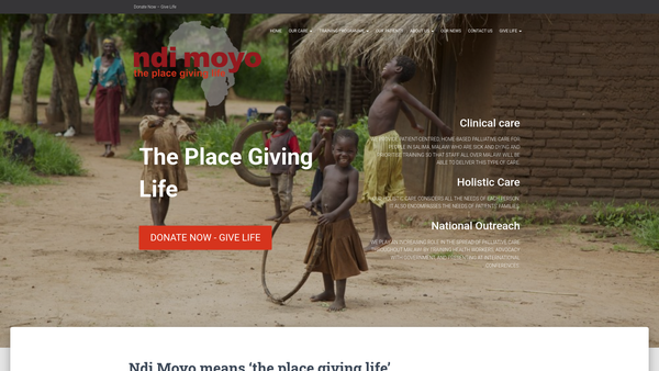 Screenshot of the Ndi Moyo website