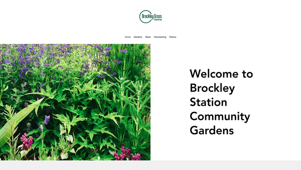 Screenshot of the The Brockley Cross Action Group website