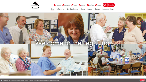 Screenshot of the The Lindsay Leg Club Foundation website