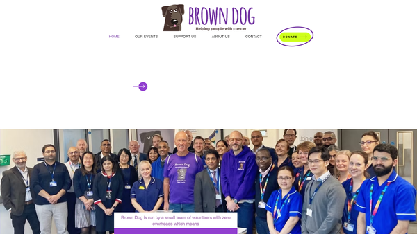 Screenshot of the Brown Dog website
