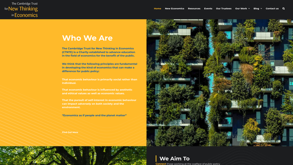 Screenshot of the The Cambridge Trust For New Thinking In Economics website