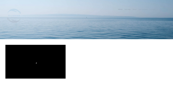Screenshot of the Murdered Abroad website