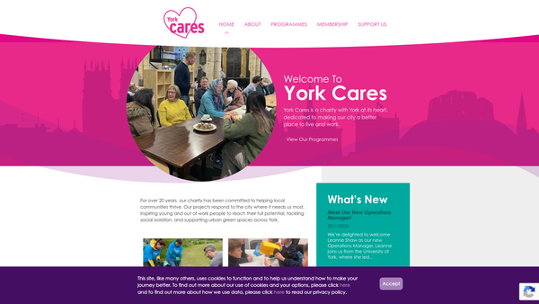 Screenshot of the York Cares website