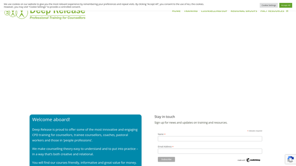 Screenshot of the Deep Release Bursary Fund website