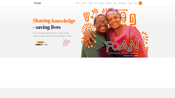 Screenshot of the Friends Of African Nursing website