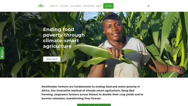 Screenshot of the Tiyeni Fund website