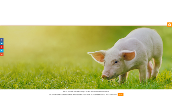 Screenshot of the The UK Centre For Animal Law Limited website