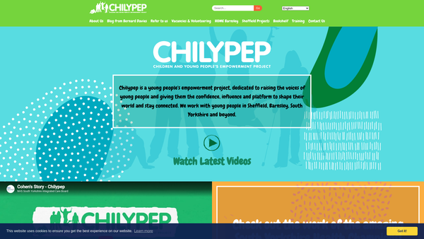Screenshot of the Children And Young People's Empowerment Project Limited website