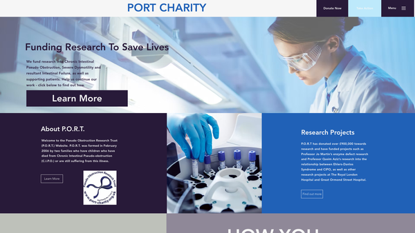 Screenshot of the Port website