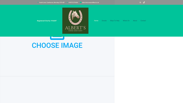 Screenshot of the Albert's Horse Sanctuary website
