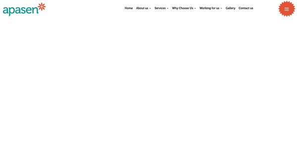 Screenshot of the Apasen website