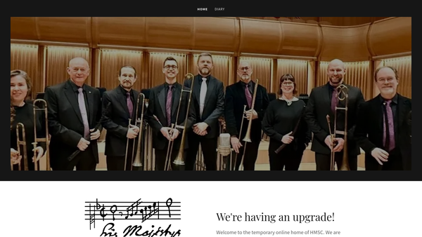 Screenshot of the Hmsc Limited website