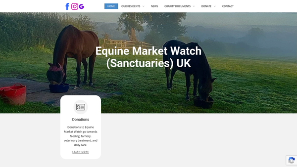 Screenshot of the Equine Market Watch (Sanctuaries UK) website
