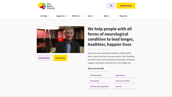 Screenshot of the The Brain Charity website