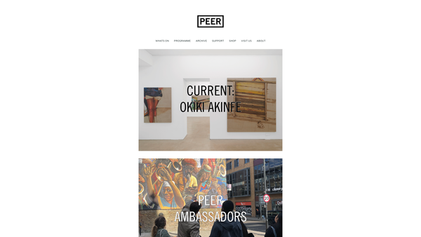 Screenshot of the Peer UK Ltd website