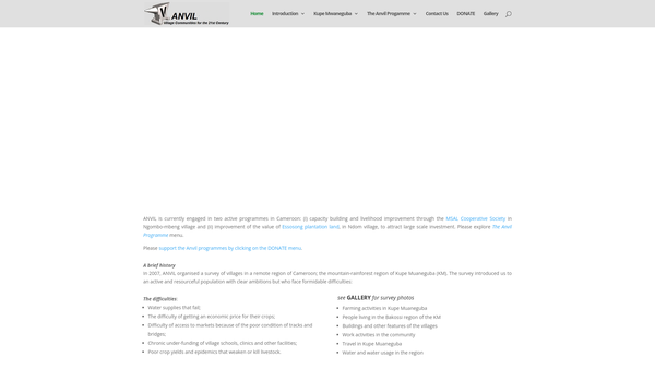 Screenshot of the Village Anvil website