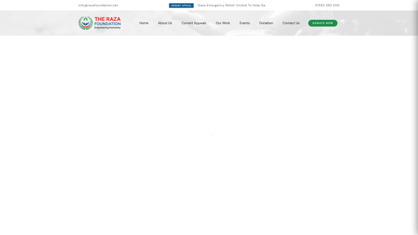 Screenshot of the The Raza Foundation website