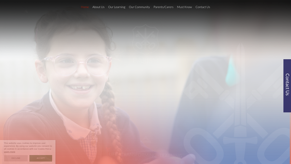 Screenshot of the The PTA Of Parish C Of E Primary School website