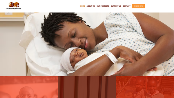 Screenshot of the Cela - Community Of Children Of Loum In England website