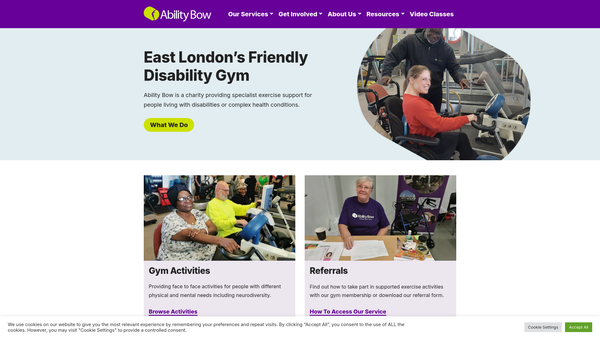 Screenshot of the Ability Bow website